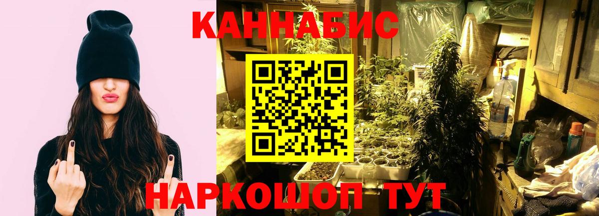 Шишки марихуана индика Ахтубинск